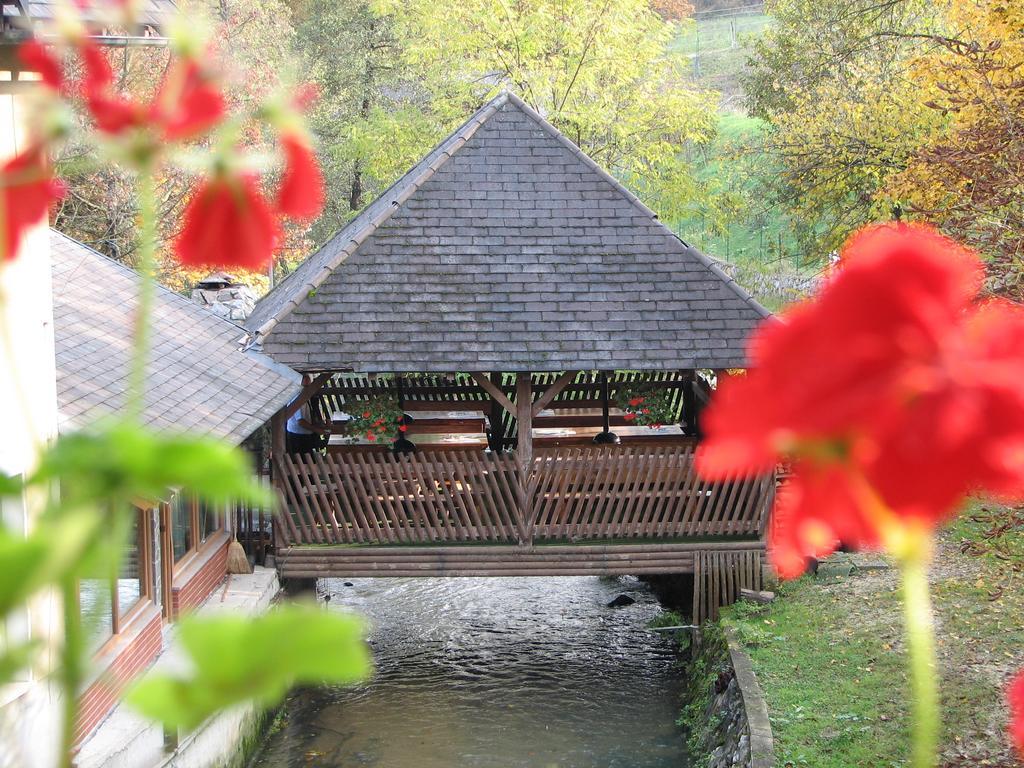 Guesthouse Zorko Gostilna Domen Smarjeske Toplice Luaran gambar
