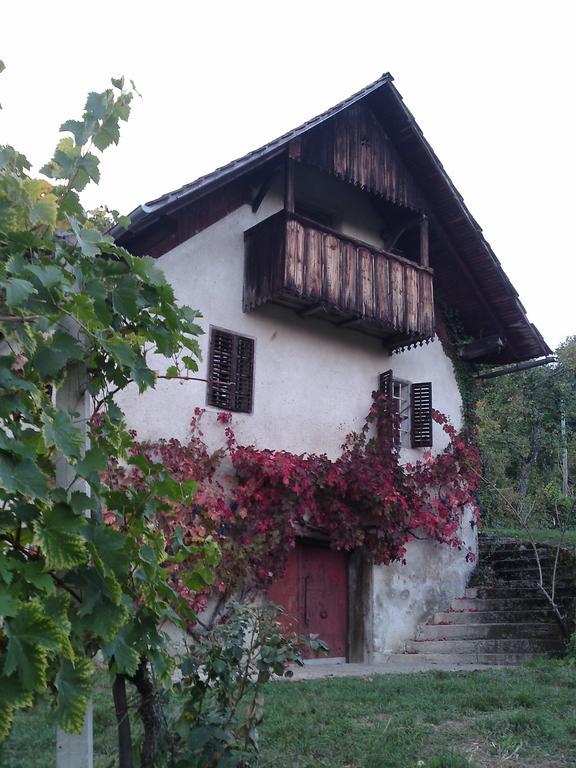 Guesthouse Zorko Gostilna Domen Smarjeske Toplice Luaran gambar