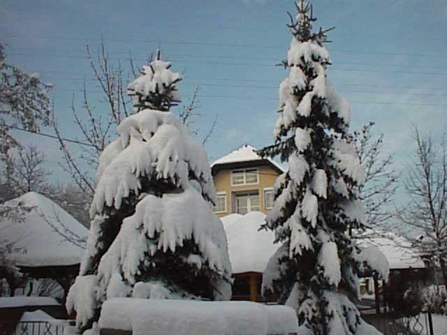 Guesthouse Zorko Gostilna Domen Smarjeske Toplice Luaran gambar