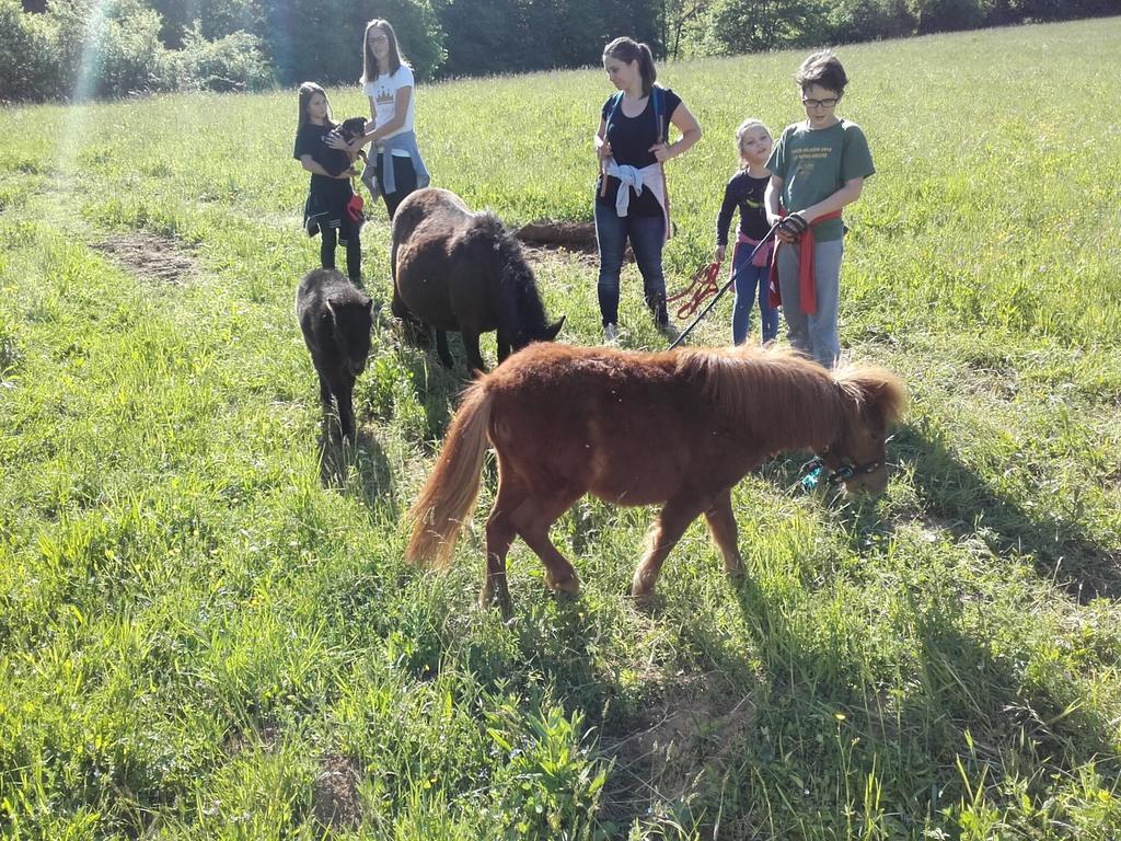 Guesthouse Zorko Gostilna Domen Smarjeske Toplice Luaran gambar